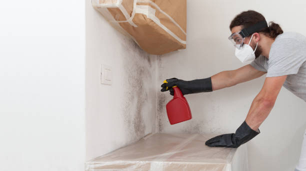 Professional Hvac And Air Duct Mold Remediation technician working in Pequannock, NJ